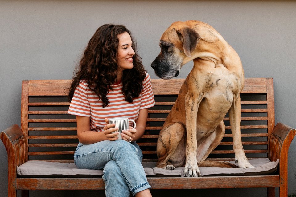 Die Journalistin und Moderatorin Mona Ameziane sitzt gemeinsam mit einer großen Dogge der Nachbarin auf einer Bank und lächelt sie an, da durch sie die Angst vor Hunden weniger geworden ist