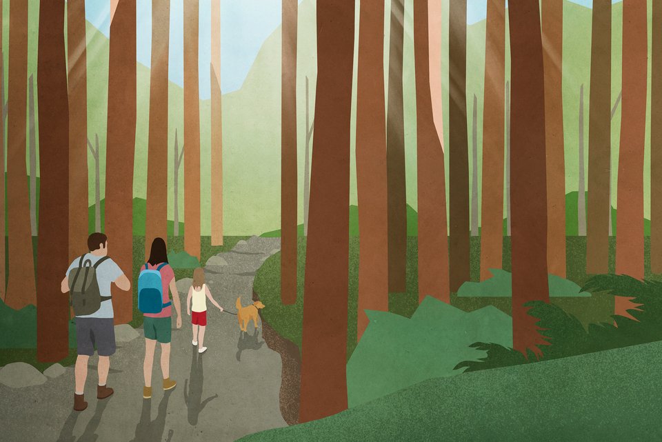 Eine Familie erkundet einen Wanderweg im Wald und lässt sich dabei Zeit
