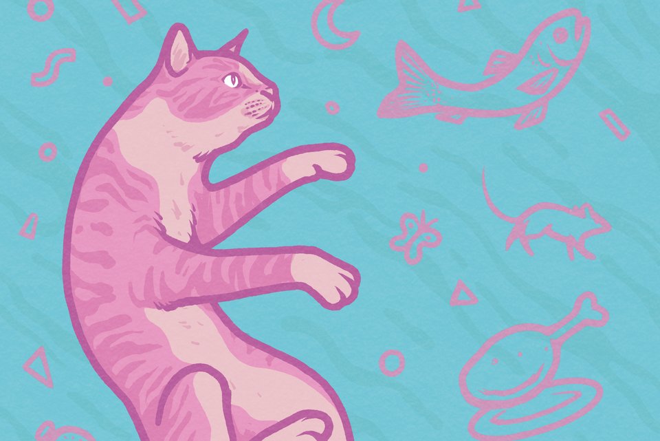 Die Illustration zeigt eine rosa Katze, um die im Traum umringt ist von einer Maus, einem Fisch, einem Schmetterling, einer Hähnchenkeule und anderem